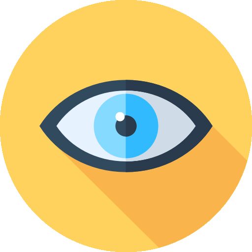 Vision
